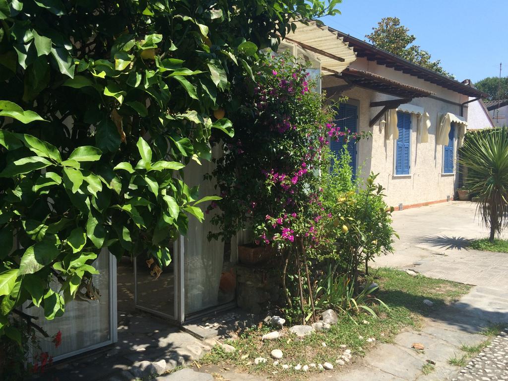 Il Nido Sul Mare A Forte Dei Marmi Oda fotoğraf